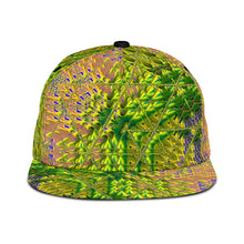 Load image into Gallery viewer, RELIC TRUTHS SNAPBACK HAT