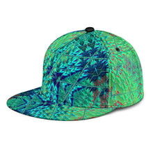 Load image into Gallery viewer, RELIC TRUTHS SNAPBACK HAT