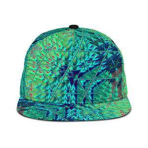 RELIC TRUTHS SNAPBACK HAT