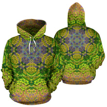 Load image into Gallery viewer, RELIC TRUTHS HOODIE
